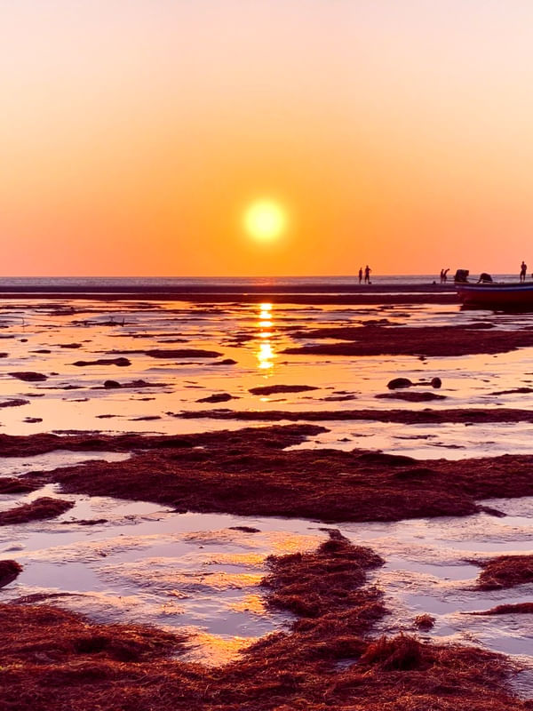 PÔR DO SOL NA PRAIA - SÉRIE 1/2