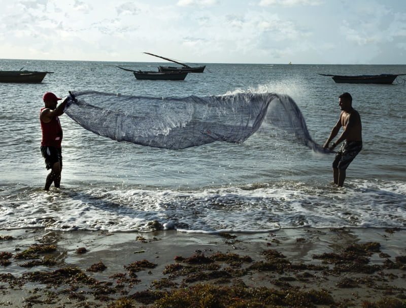 OS PESCADORES DA REDE BRILHANTE