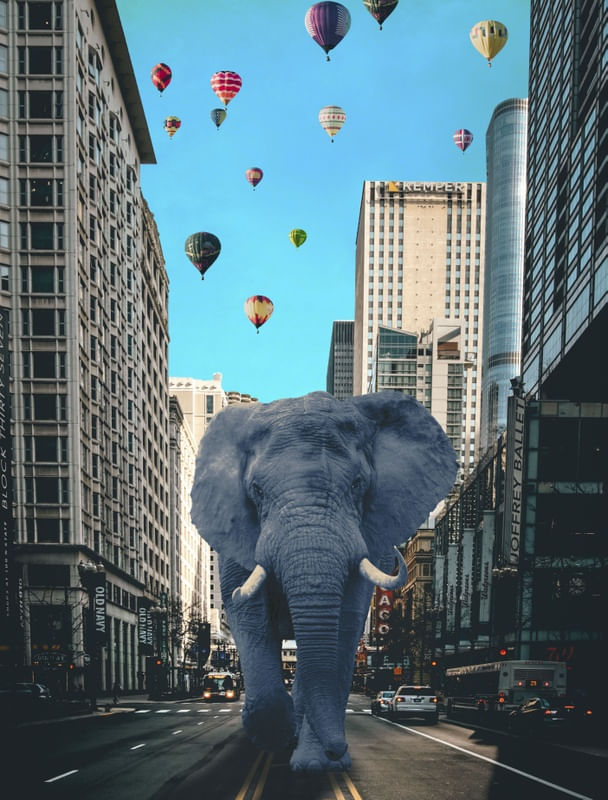 O ELEFANTE FELIZ