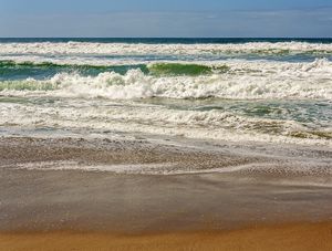 MAR IMG-3732