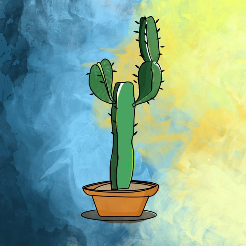 CACTUS AQUARELADO