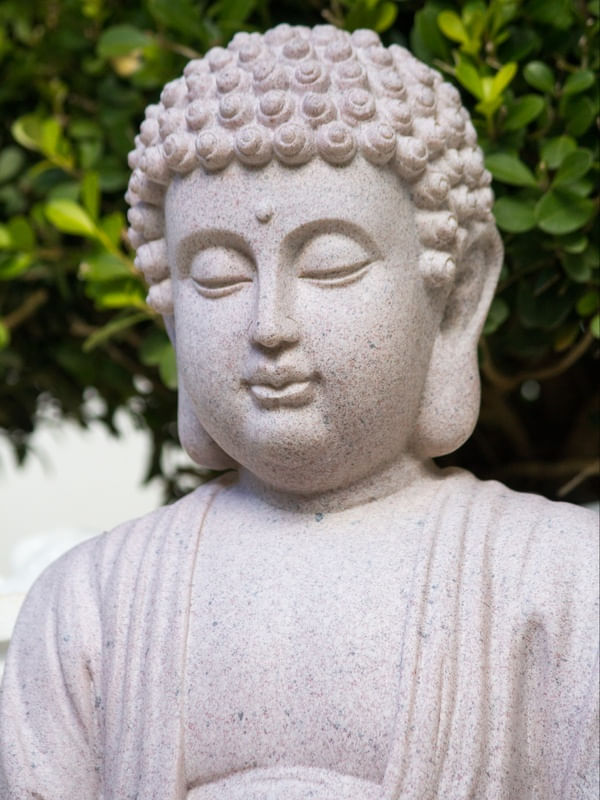BUDA CINZA 1