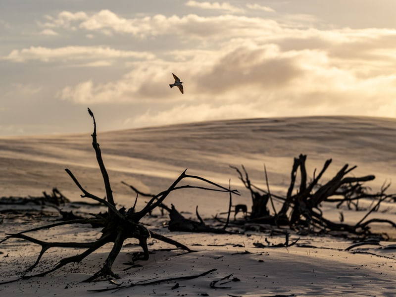 LENÇÓIS MARANHENSES E SUA PAISAGEM APOCALÍPTICA