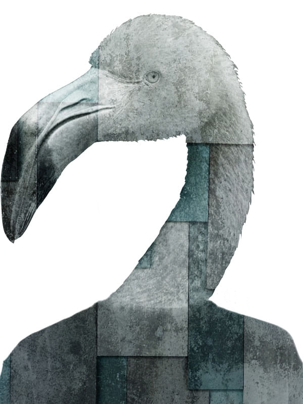 CITY OF BIRDS 02
