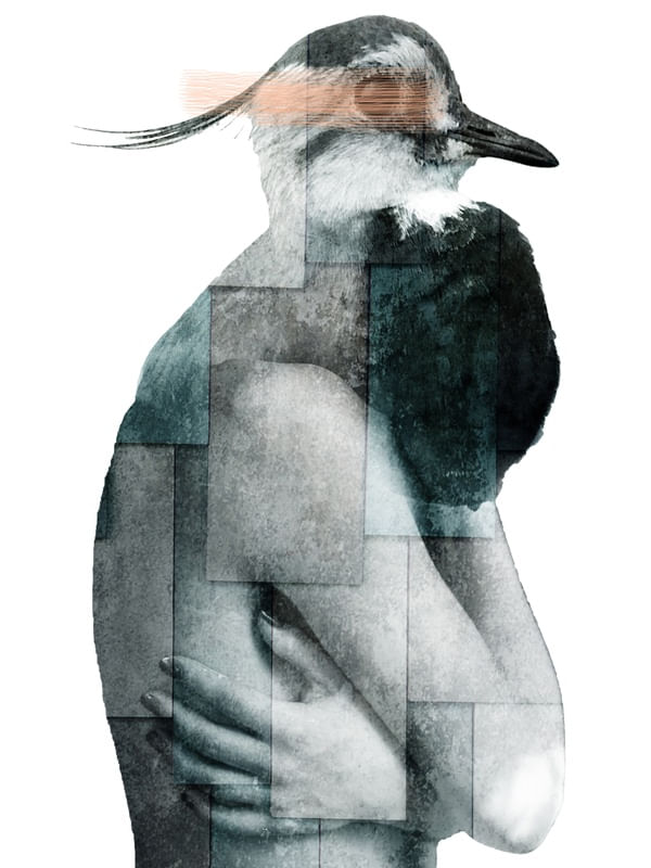 CITY OF BIRDS 03