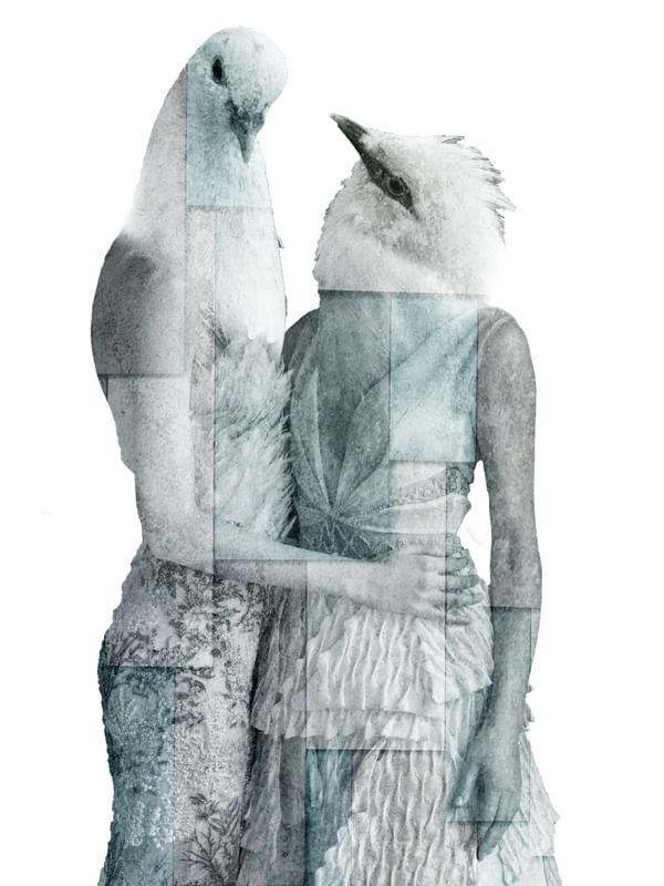 CITY OF BIRDS 05