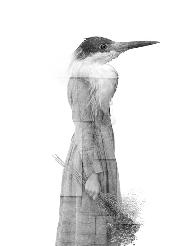 CITY OF BIRDS 06