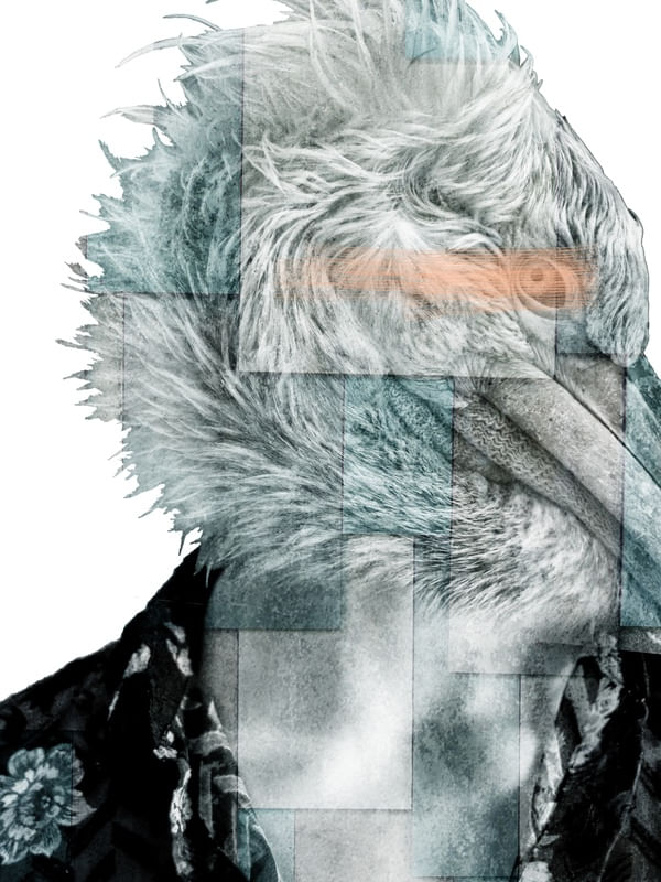 CITY OF BIRDS 07