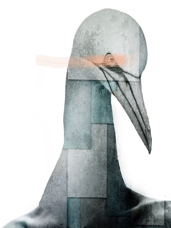 CITY OF BIRDS 08