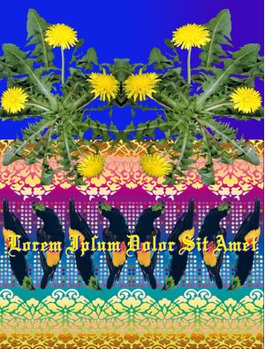 LOREN IPSUM