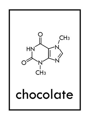CHOCOLATE FÓRMULA