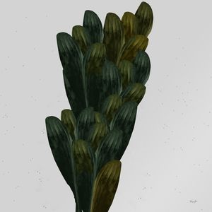 ABSTRACT-PLANTS 1987