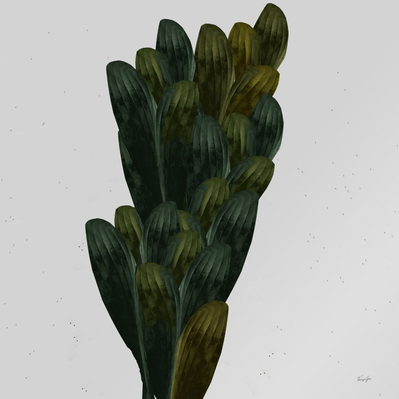 ABSTRACT-PLANTS 1987