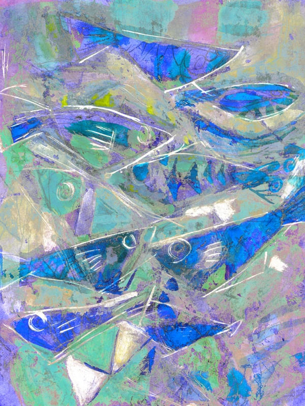 PEIXINHOS DO IGARAPÉ IV