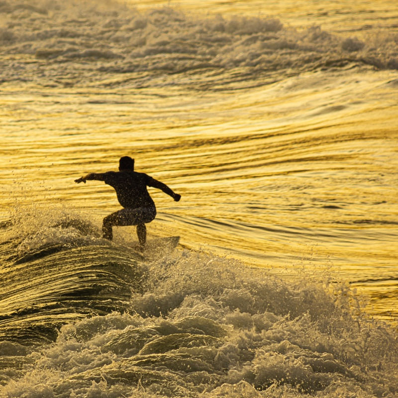 SUNSET SURF