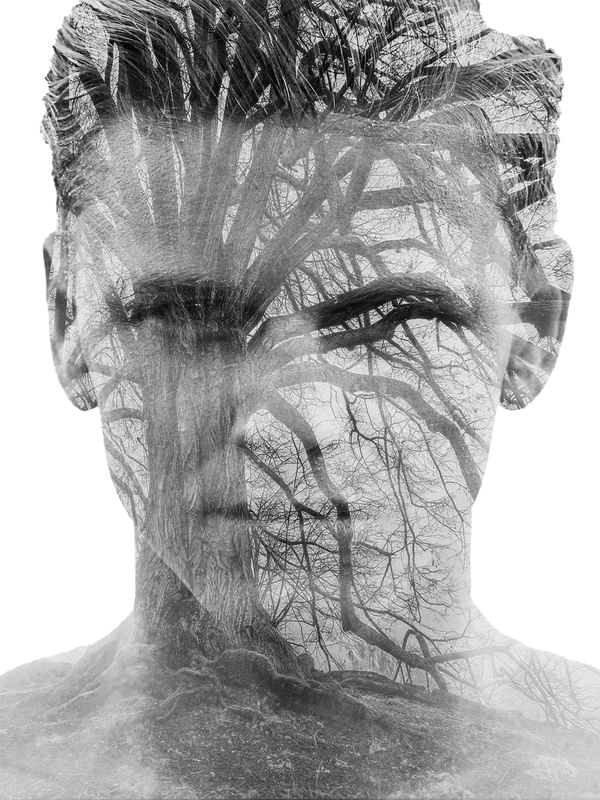 TREE MAN
