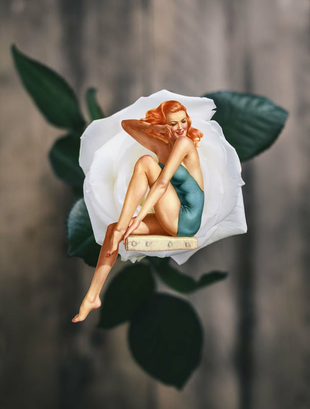 UMA ROSA PARA AS MULHERES