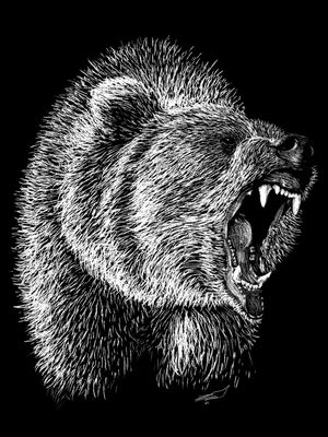 URSO SELVAGEM