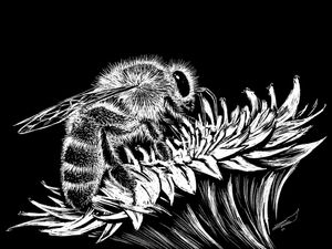 BEE VEGAN