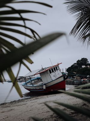 INVERNO TROPICAL