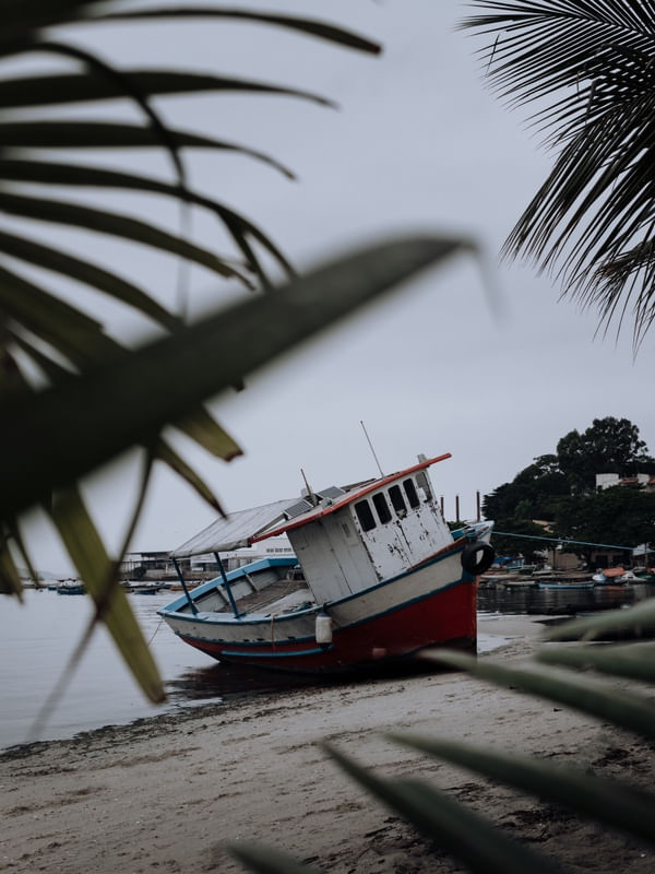 INVERNO TROPICAL