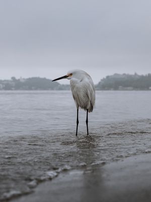 SOLIDÃO DE INVERNO