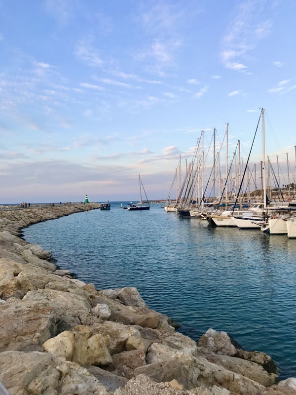 TEL AVIV POR THAI STEFFENS