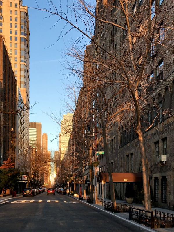NEW YORK STREET POR THAI STEFFENS
