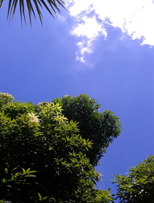 OLHA PARA O CÉU