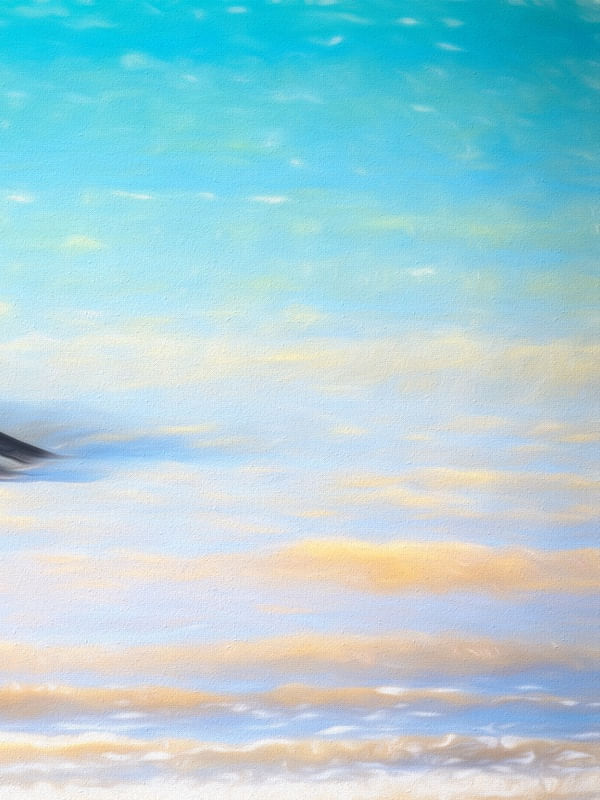 O PESCADOR NA MARÉ_02