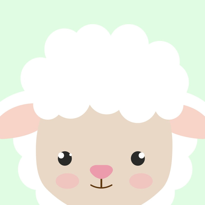 OVELHINHA BABY