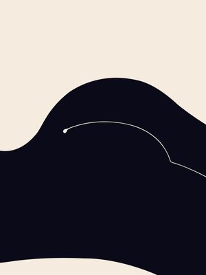 SILHUETA FEMININA
