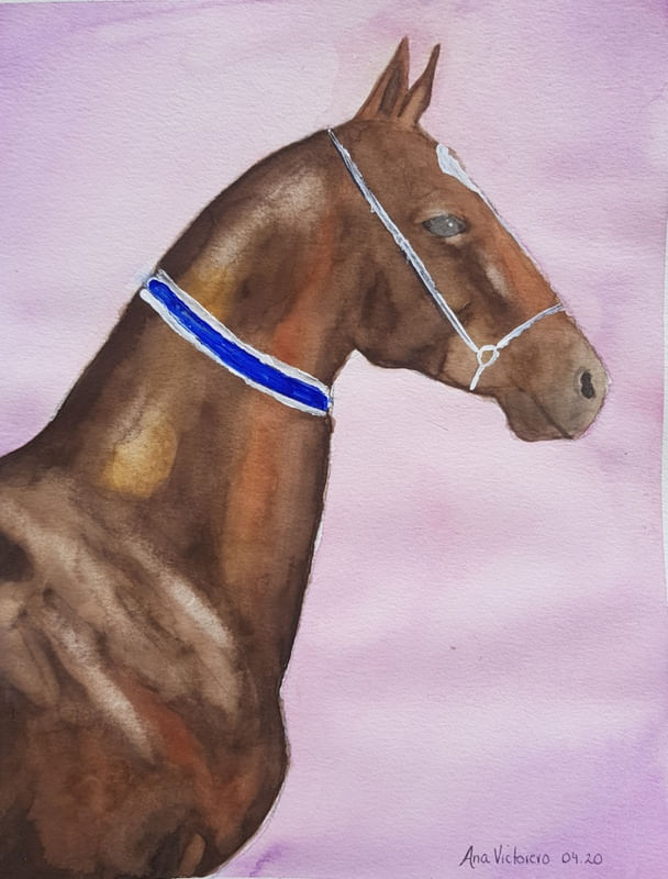 AKAL-TEKE