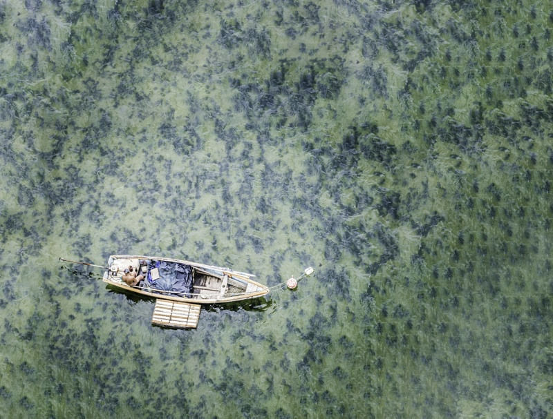 PESCADOR NO RIO VERDE