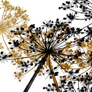 COW'S PARSLEY MULTI 1, OURO PRETO BRANCO QUADRADO