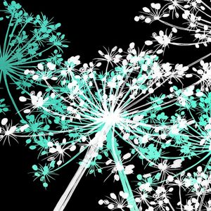 COW'S PARSLEY MULTI 6, AQUA VERDE PRETO BRANCO QUADRADO