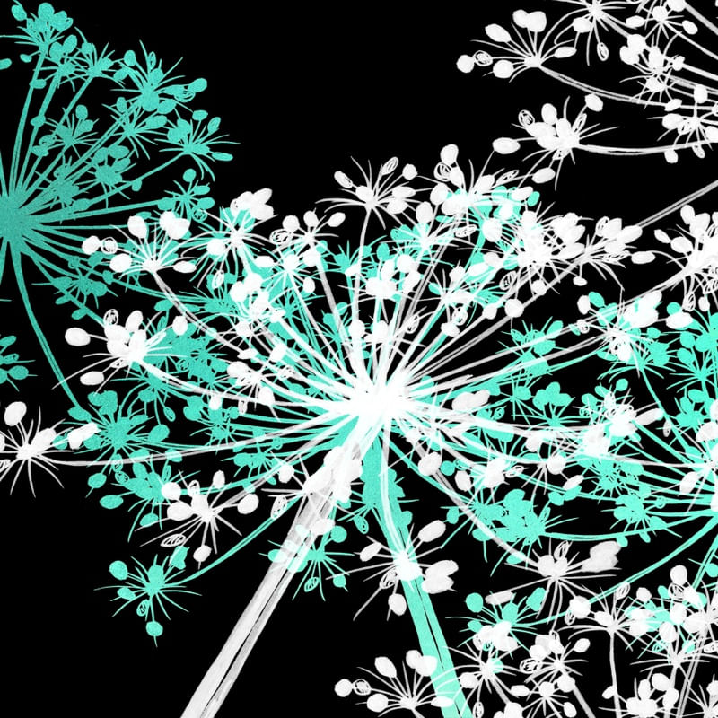 COW'S PARSLEY MULTI 6, AQUA VERDE PRETO BRANCO QUADRADO