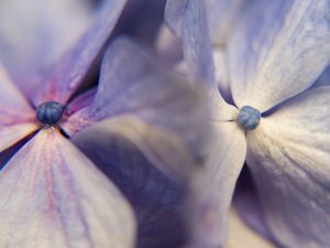 O PAR - MACRO