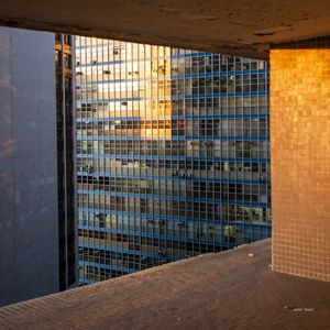 ENTRE BRISES, LUZ DOURADA DO PÔR-DO-SOL - QUADRADA