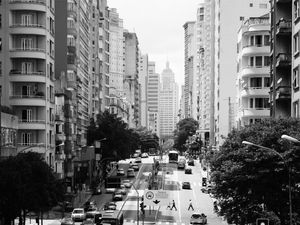 MINHOCÃO #3