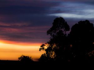 CREPÚSCULO DARK