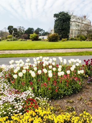 JARDIM BOTÂNICO DE DUBLIN 2