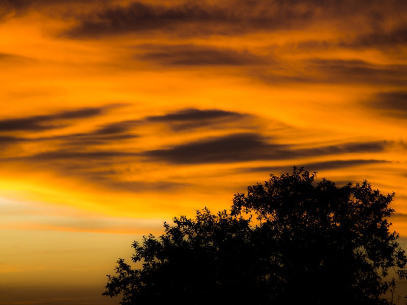 CREPÚSCULO ALARANJADO