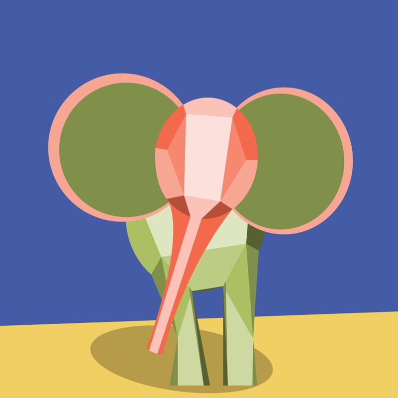 ELEFANTE 222