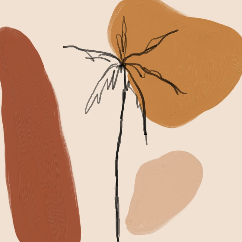 COQUEIRO MINIMAL QUADRADO