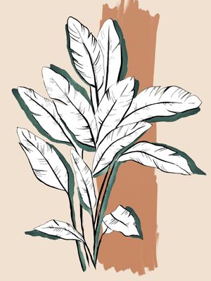 BANANEIRA MINIMALISTA