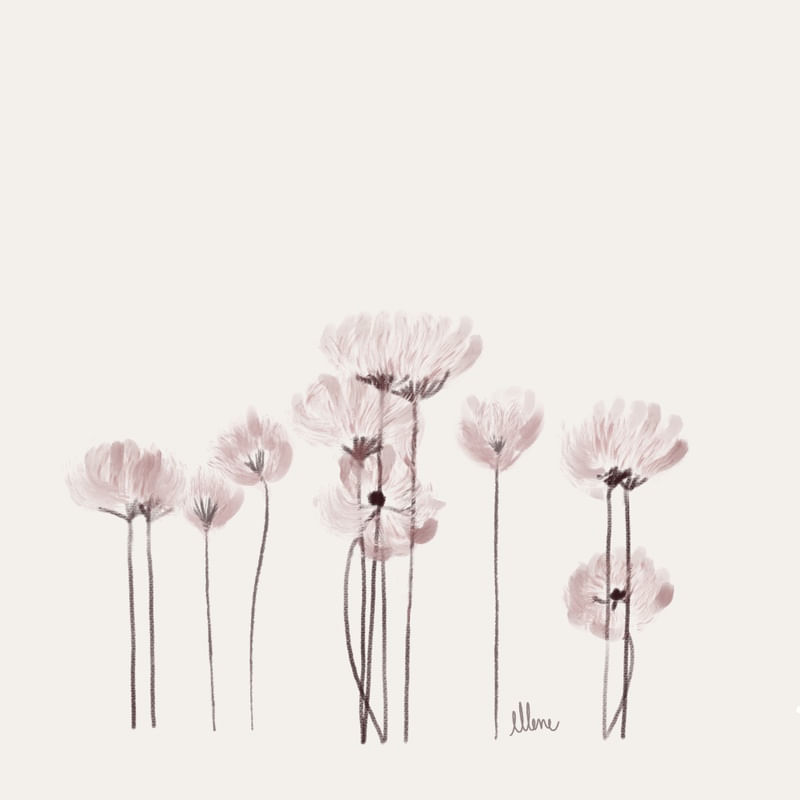 A DELICADEZA