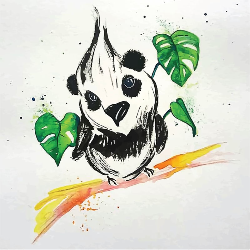 PANDA BIRD
