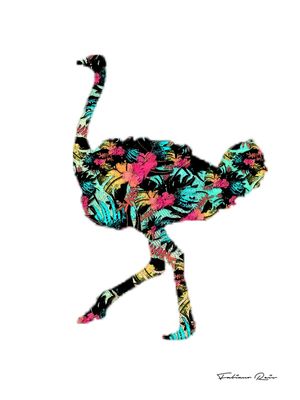 OSTRICH_