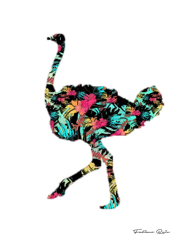 OSTRICH_